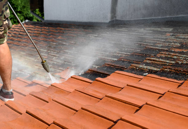 Best Commercial Pressure Washing  in Byhalia, MS