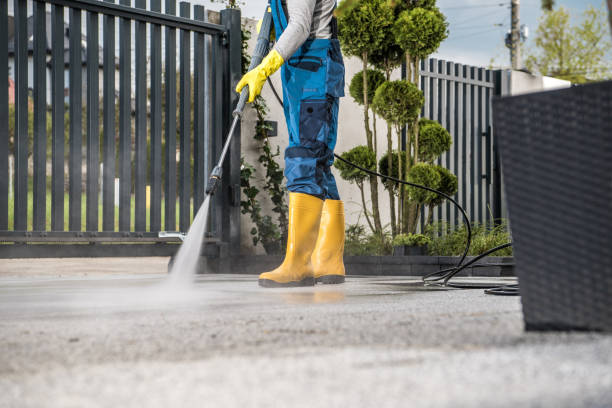 Best Roof Power Washing Services  in Byhalia, MS